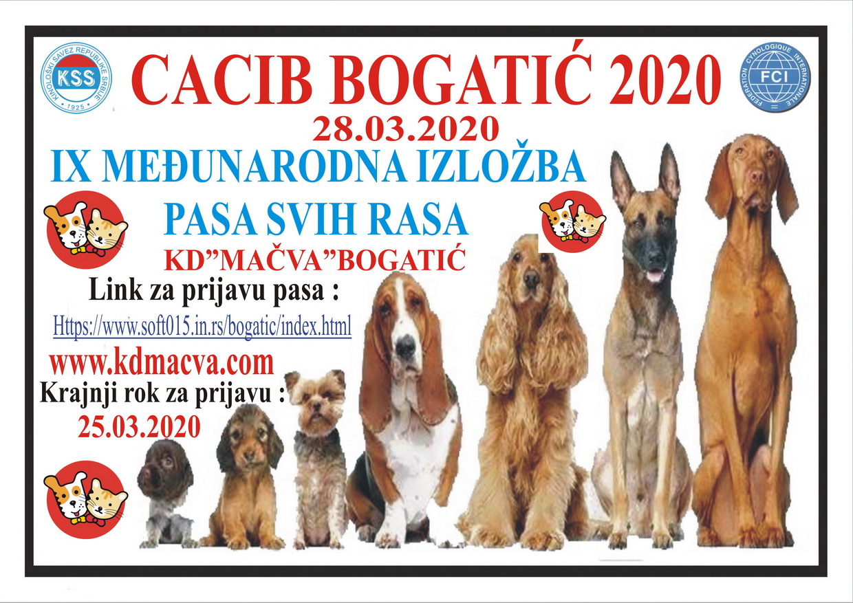 cacib 2020 1